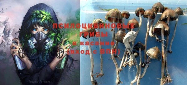 прущие крисы Волоколамск