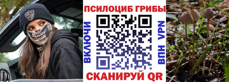Галлюциногенные грибы Cubensis  Дальнереченск 